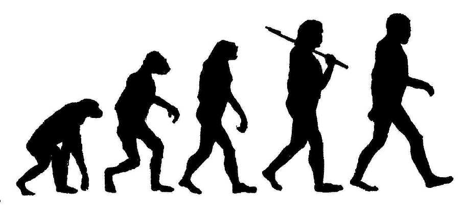 Evolution