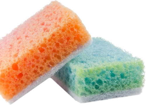 Sponges