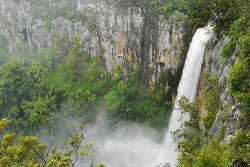 Purlingbrook Falls Australia