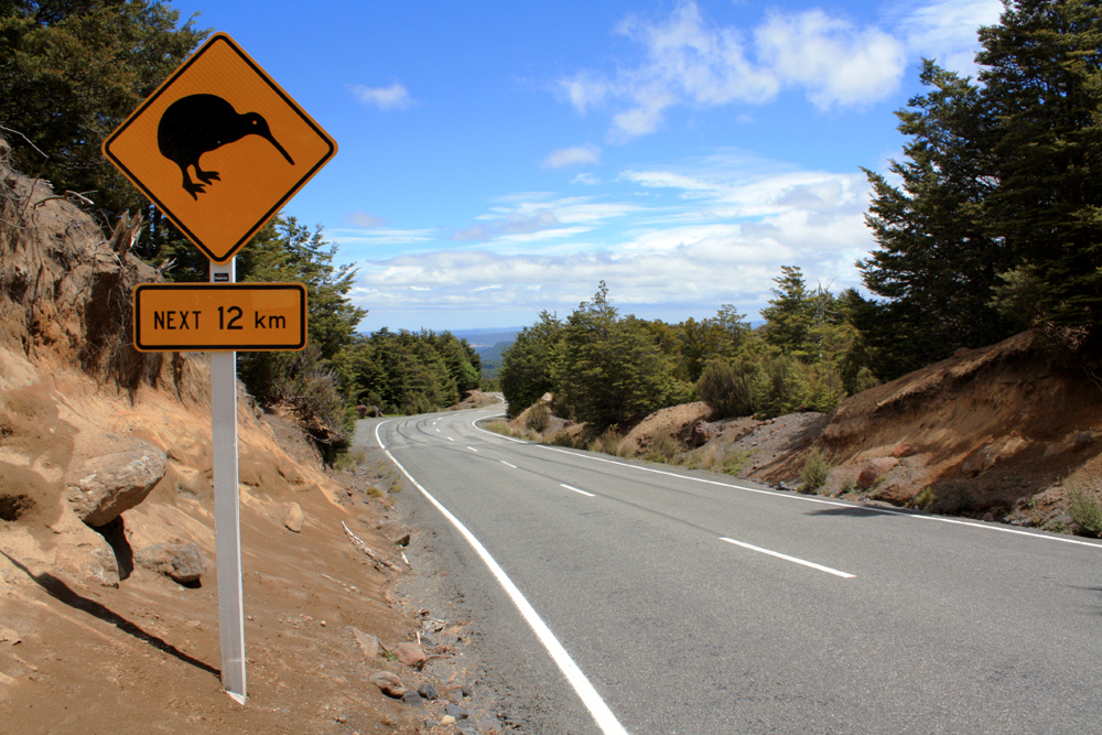 Kiwi Road Sign