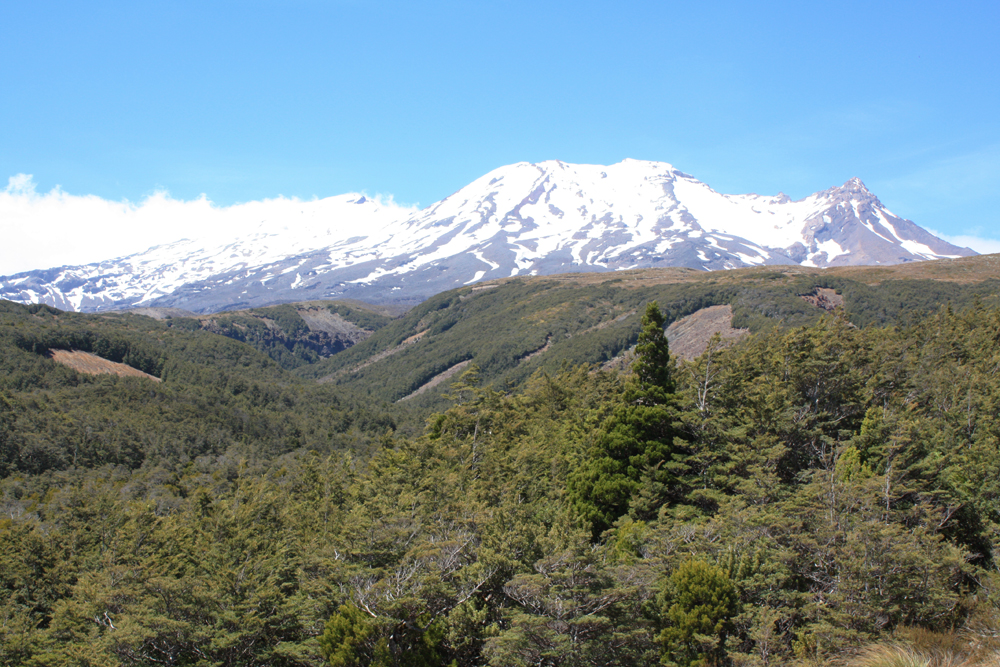 Ruapehu Volcano