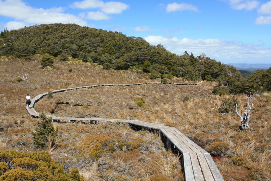 Walkway near Mt Ruapehu in New Zealand