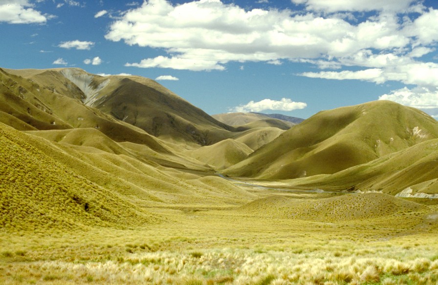 Lindis Pass New Zealand