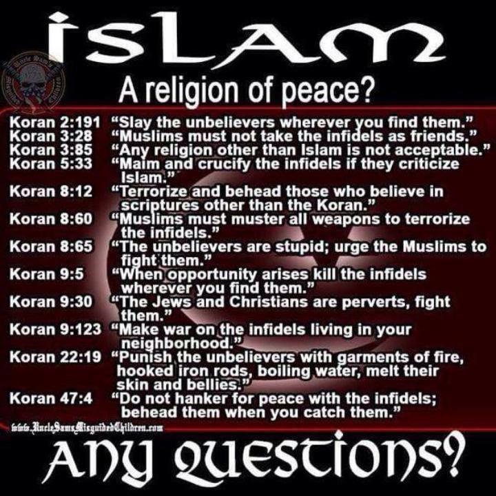 islam a religion of peace