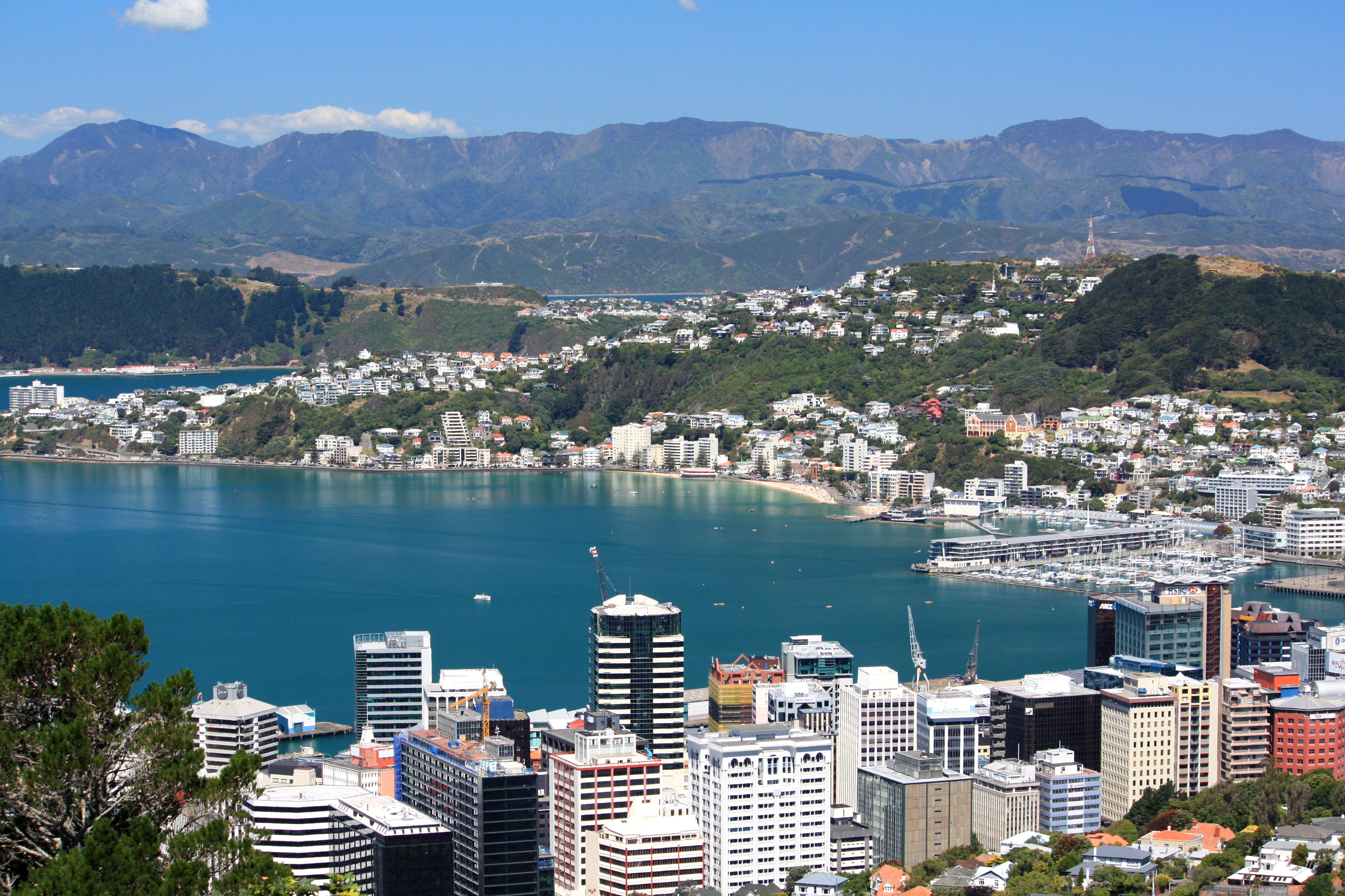 New zealand capital. Веллингтон (новая Зеландия). Wellington столица. Веллингтон бухта. Веллингтон Австралия.