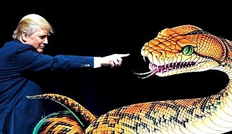 Donald Trump talks about a viciouss snake