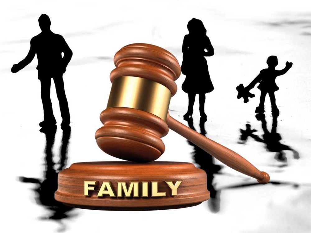 Family Courts
