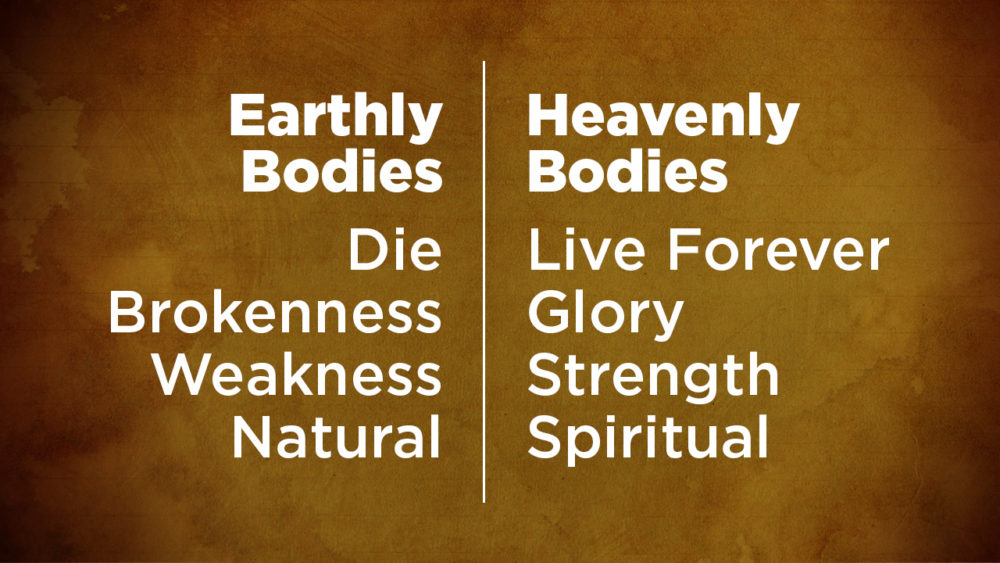 What kind of body will we receive?