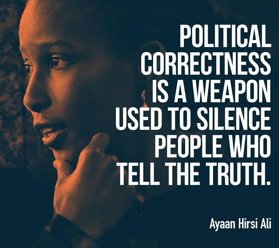 political-correctness-is-a-weapon-heaven-net