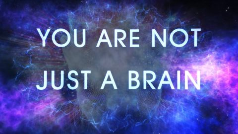 You are not just a brain