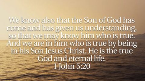 1 John 5:20 - The True God