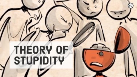 Theory of Stupidity