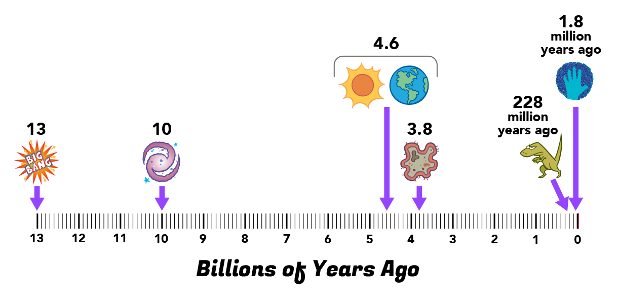 Timeline